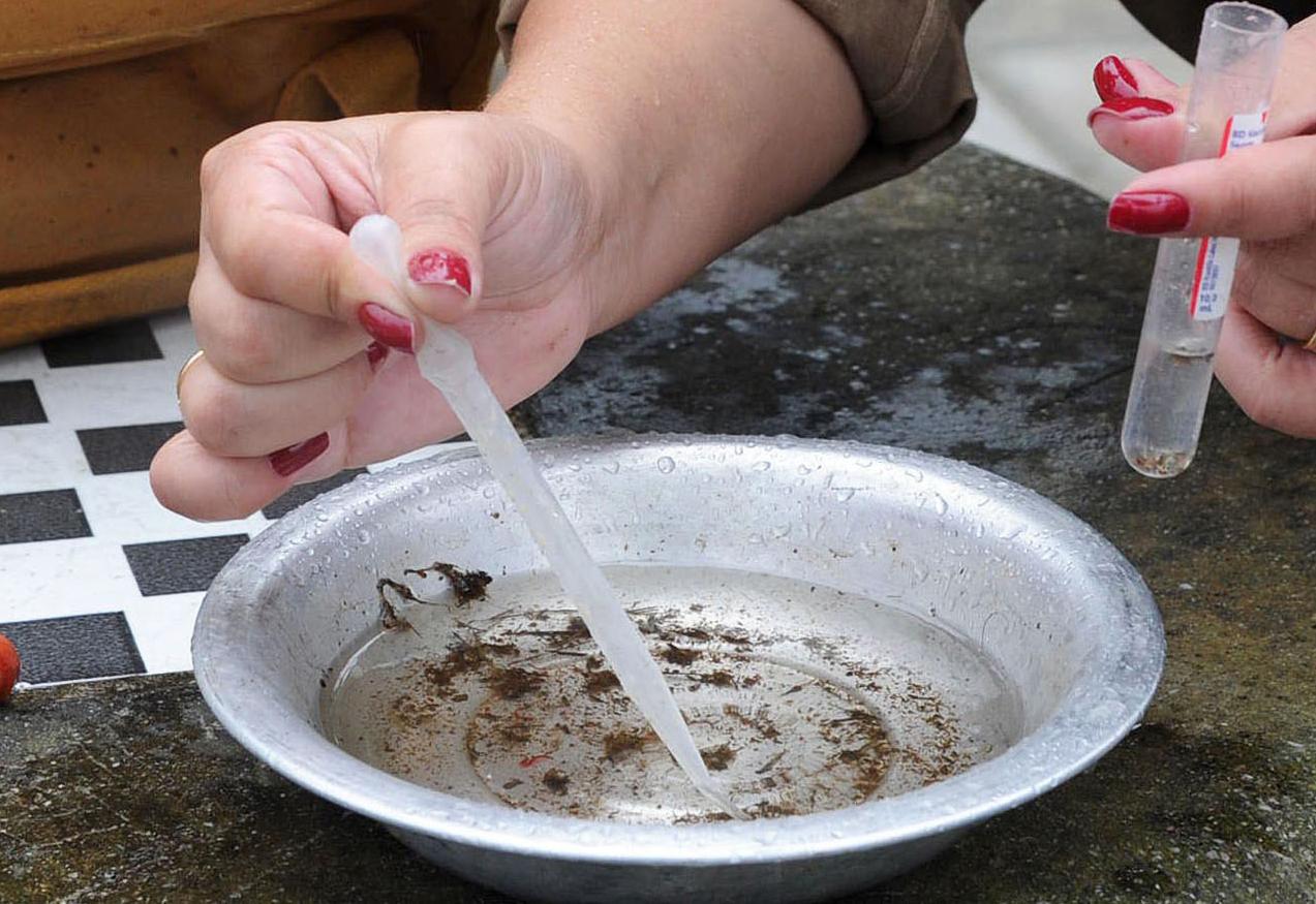 Lei autoriza a entrada de agentes de endemias em imóveis