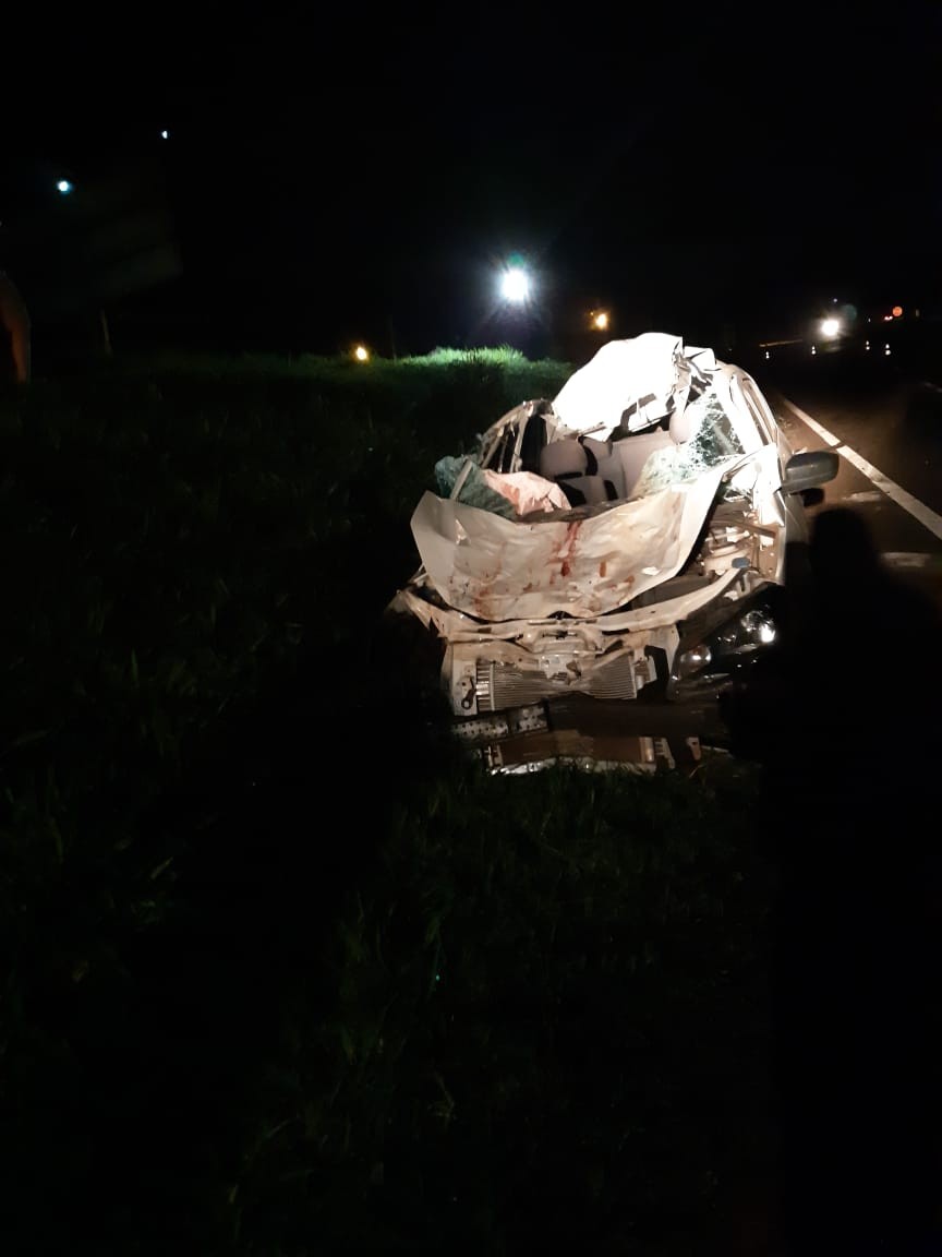 Carro atinge boi na BR-376