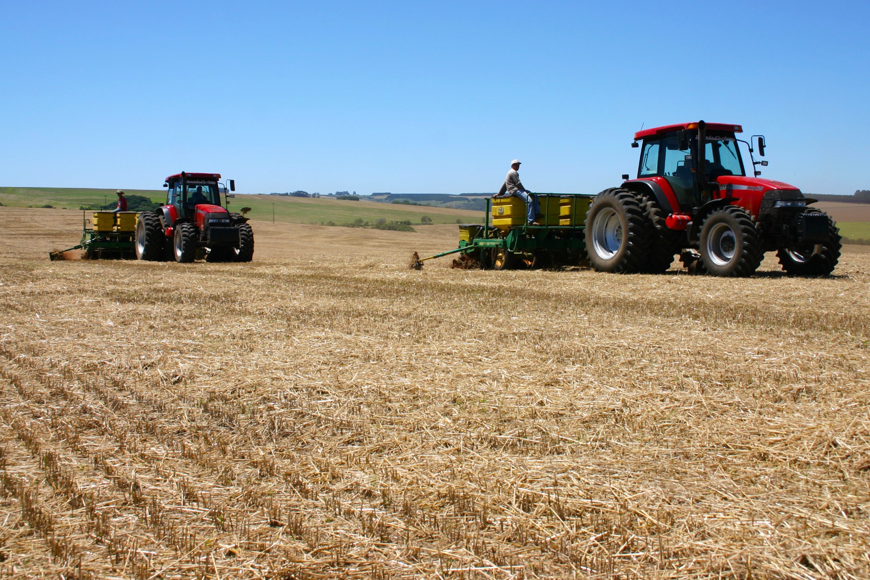 Plantio de trigo no estado está atrasado