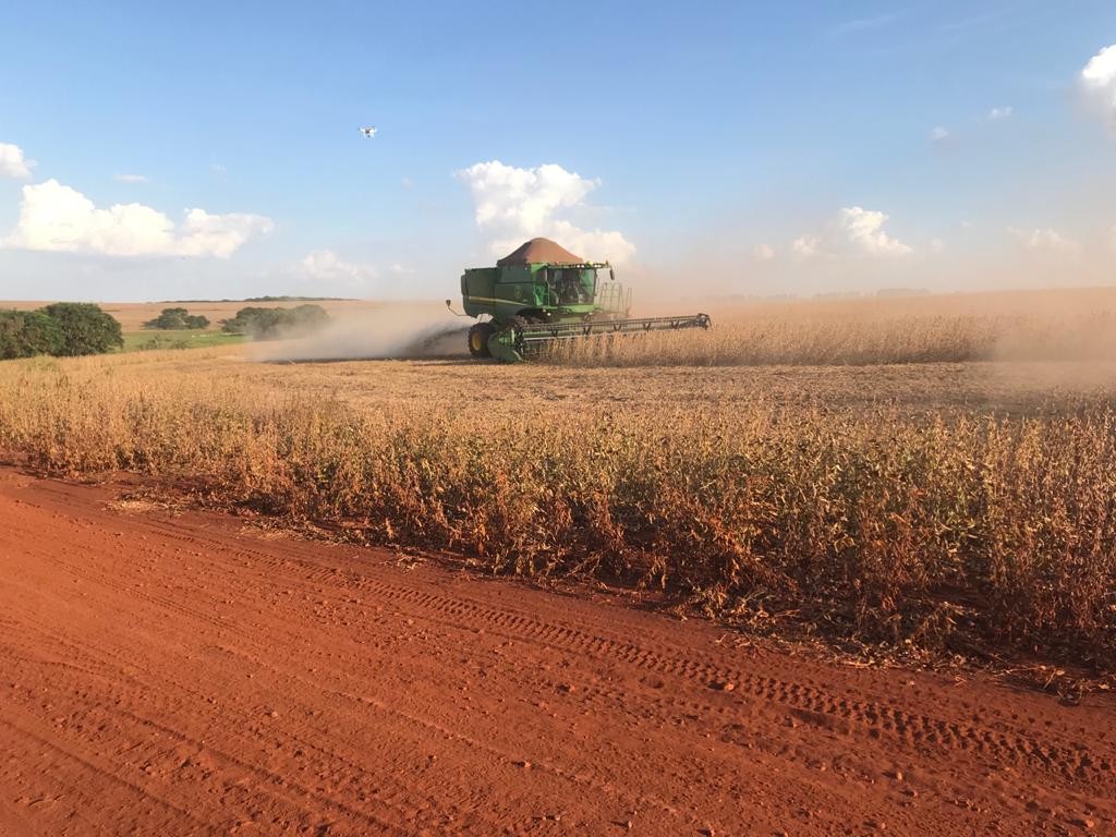 Vamos falar sobre… agronegócios