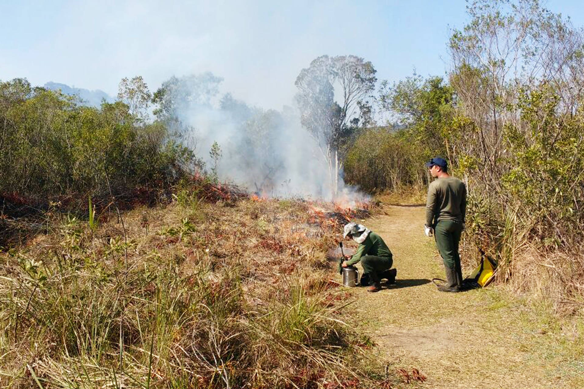 Risco de incêndios em áreas rurais coloca o Paraná em alerta