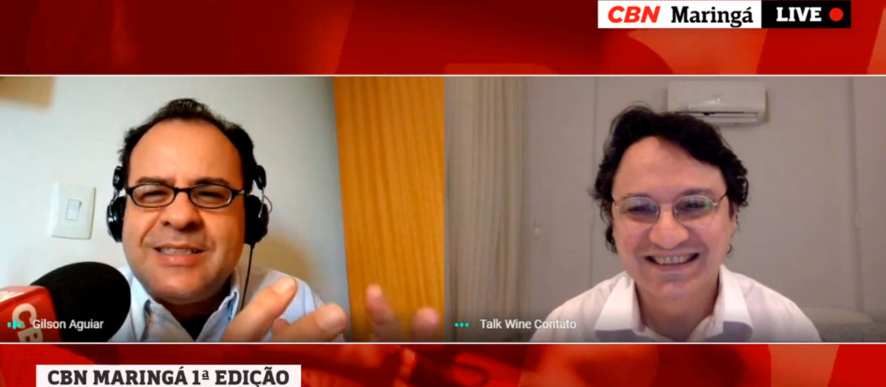 Introdução sobre como apreciar vinhos