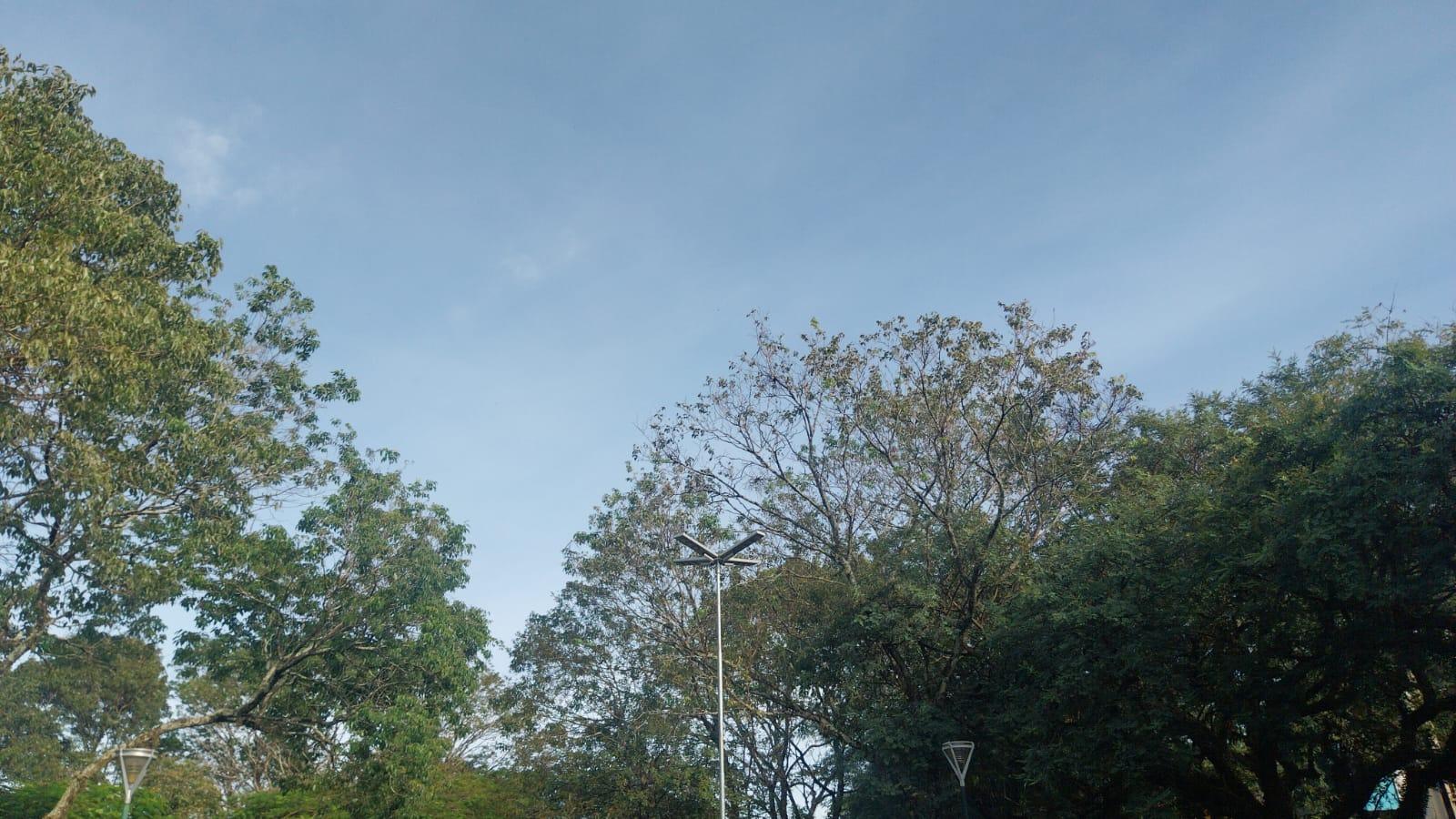 Sábado de tempo firme e temperatura máxima de 27ºC em Maringá