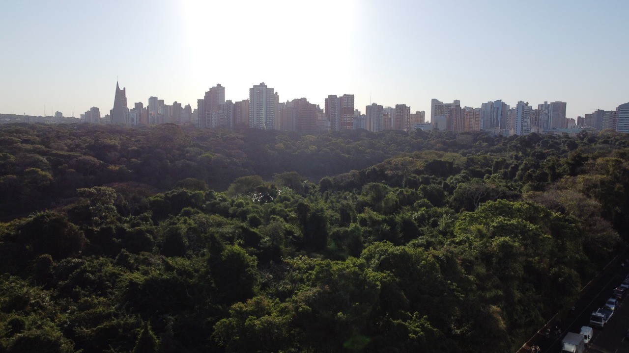 Novo decreto publicado em Maringá entra em vigor; veja as regras