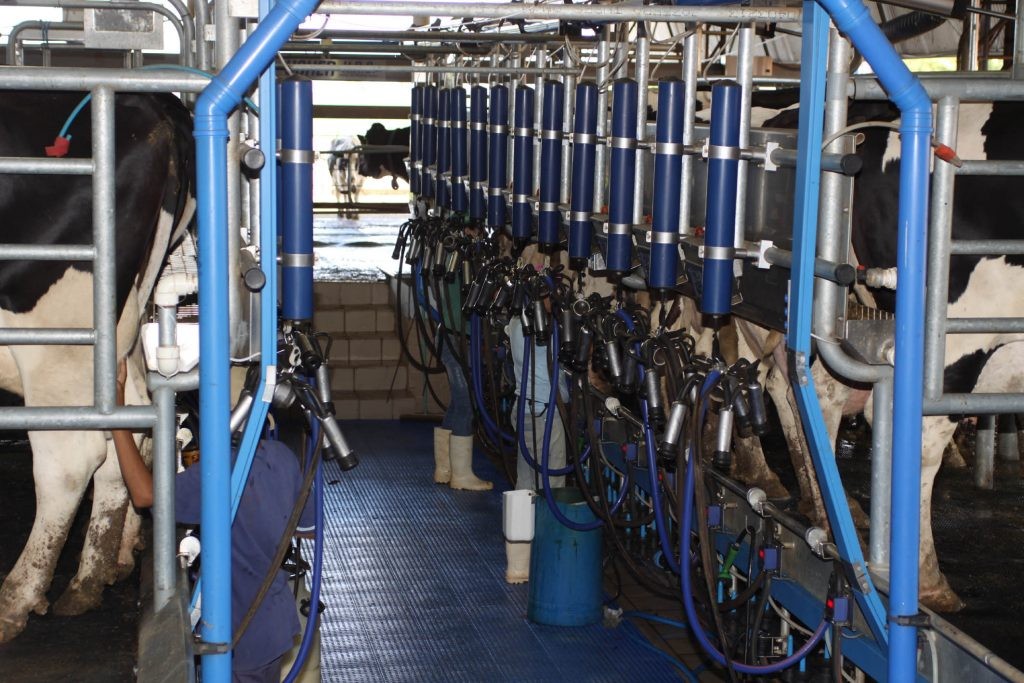 Futuro governo pretende suspender importação de leite vindo do Mercosul