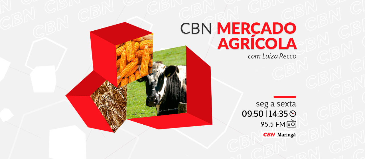 Mandioca custa R$1.037,16 na média regional