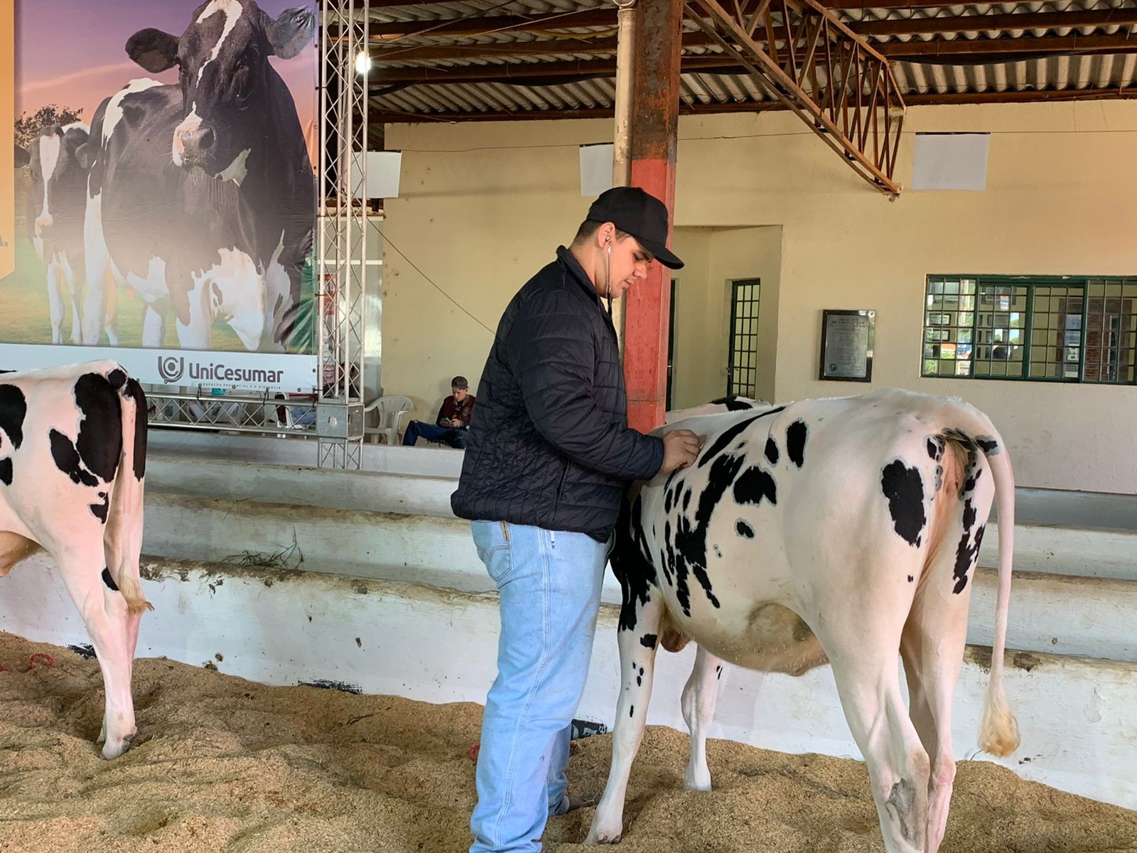Equipe da Unicesumar faz plantão veterinário para atender animais da feira