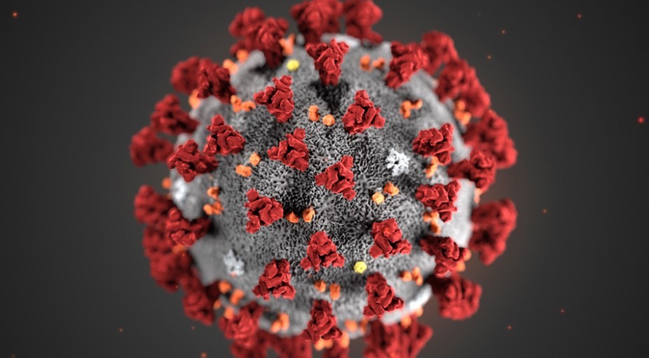 Três pessoas da mesma família são contaminadas com coronavírus em Apucarana