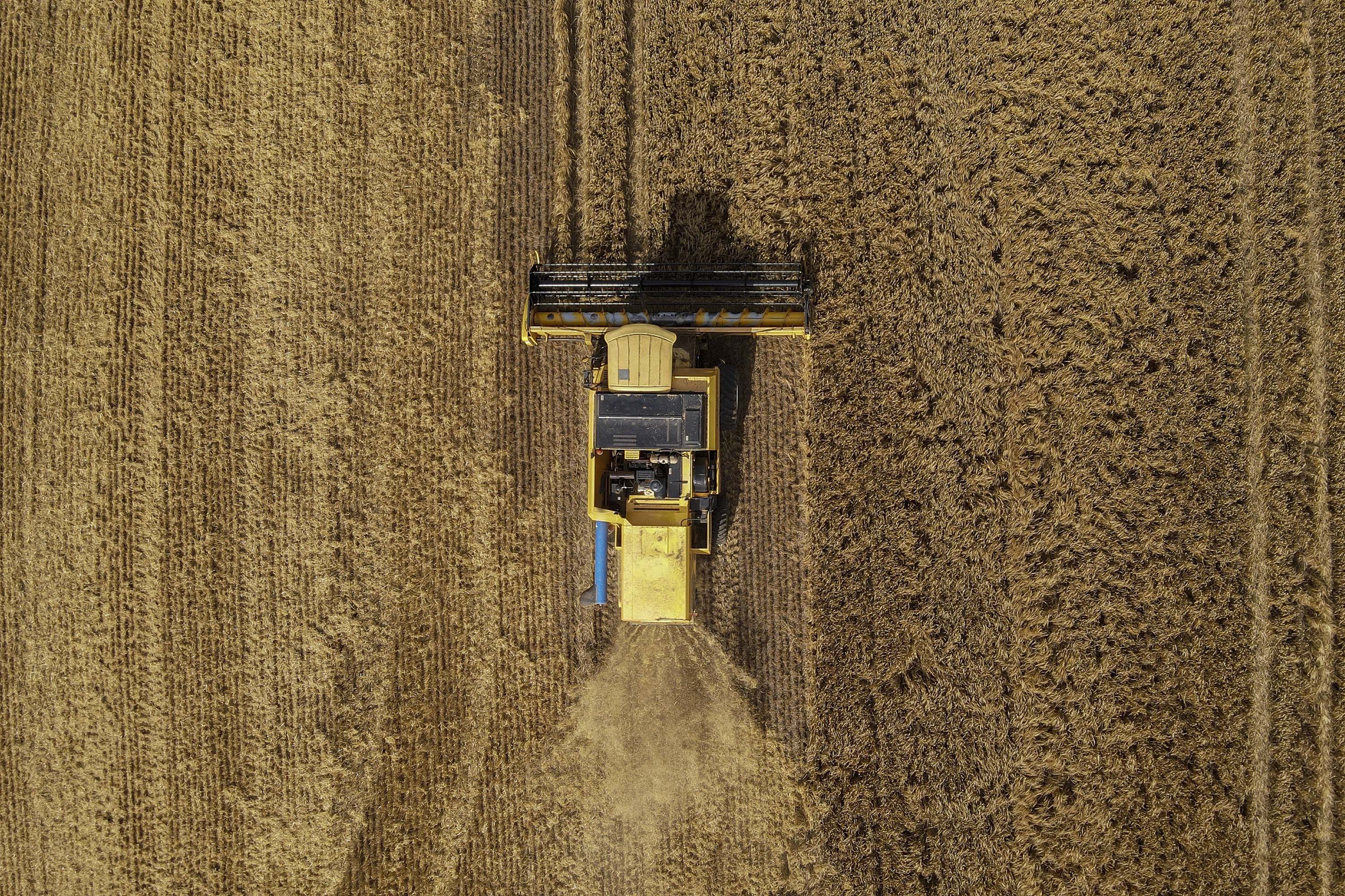 Dicas para não errar no início da cultura de inverno