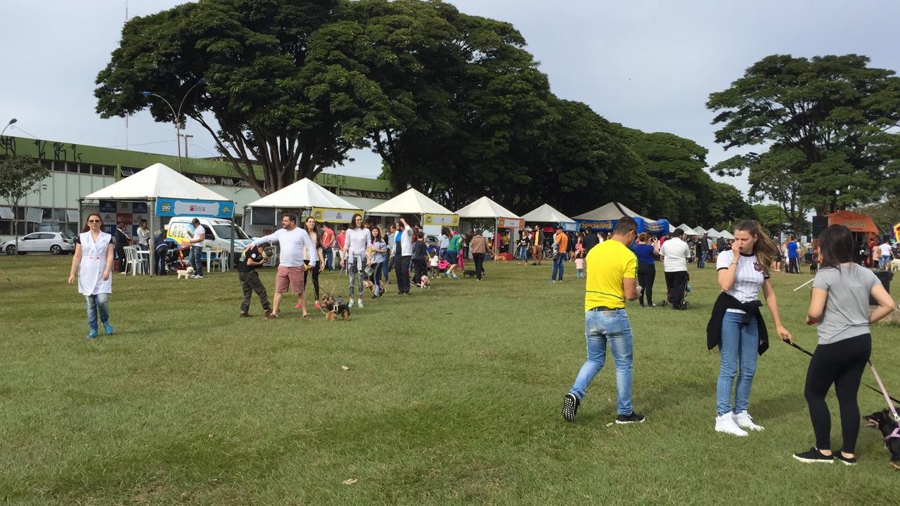 Famílias e seus cachorros aproveitam o Pet Day em Maringá