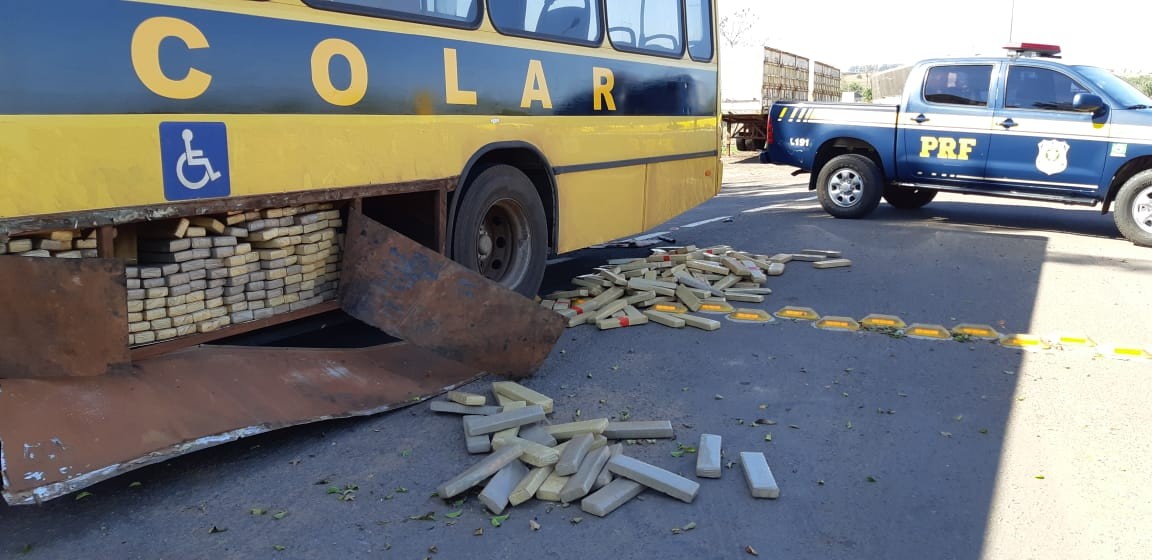 PRF apreende quase uma tonelada de maconha em ônibus escolar