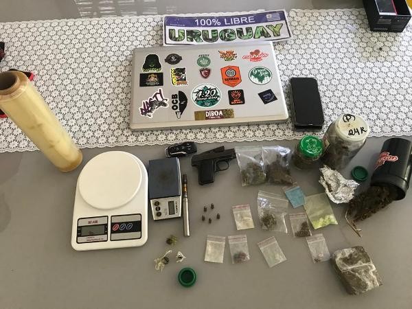 Polícia apreende pé de maconha, drogas e veículos de luxo em casa de Maringá