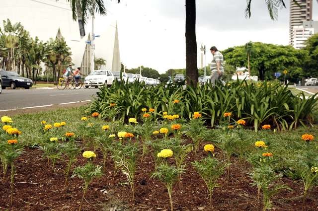 Ouvinte reclama de dificuldade para descartar resíduos de jardinagem