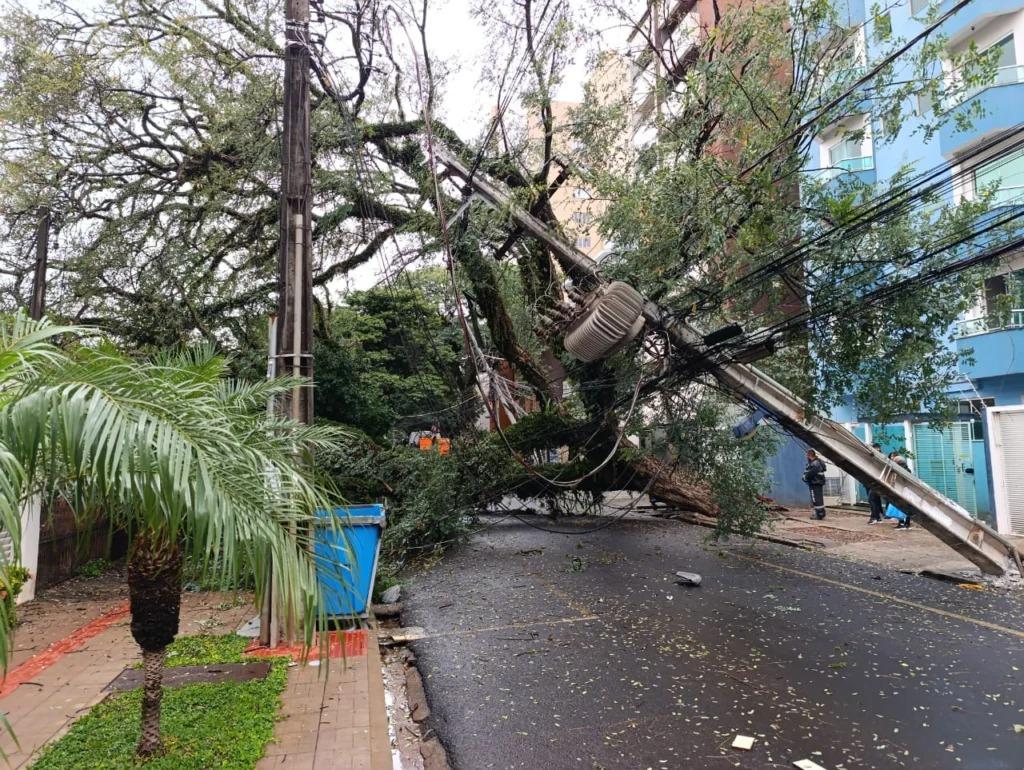 Árvore de grande porte derruba postes e cai sobre carro