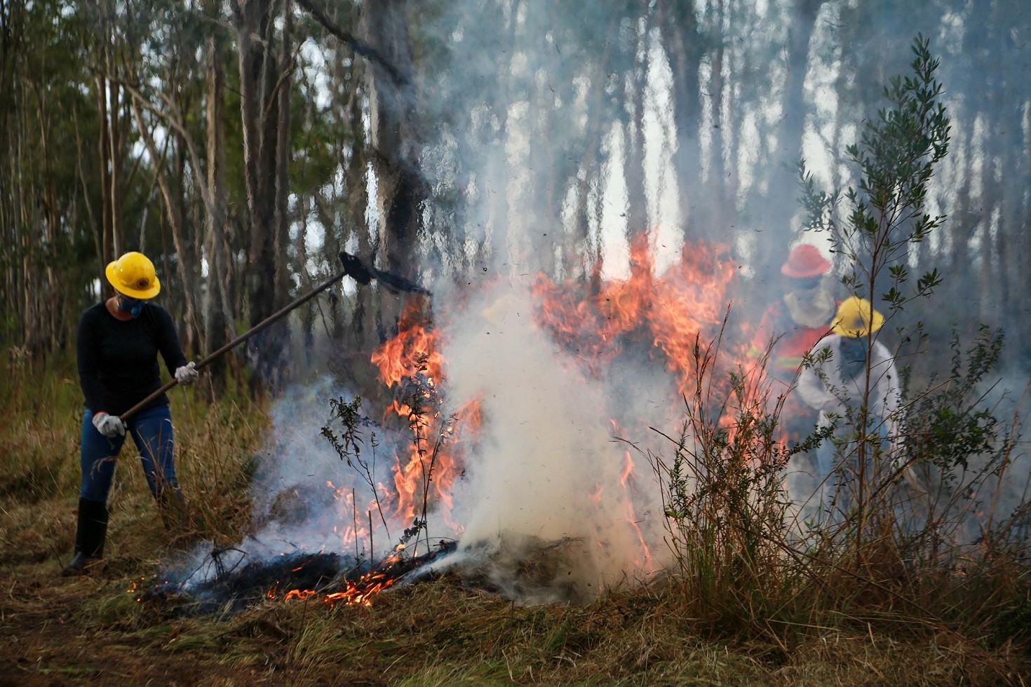 Bombeiros combatem incêndios ambientais em várias cidades da região