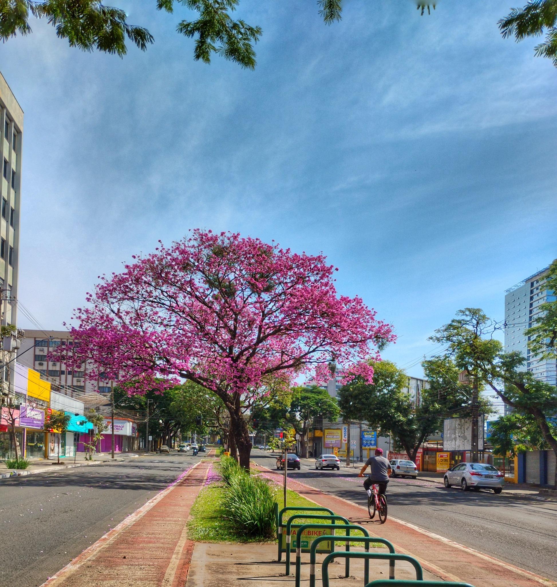 Confira a previsão do tempo para esta quarta-feira (6)