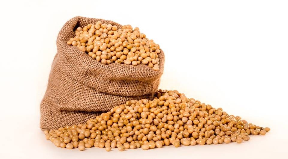 Soja apresenta queda na Bolsa de Chicago