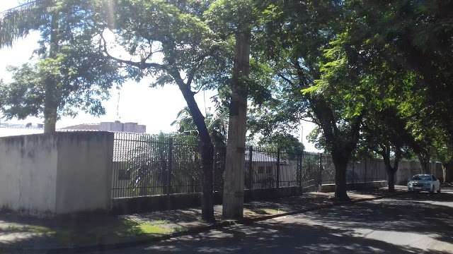 41 presos e um agente da Delegacia de Nova Esperança são infectados pela Covid-19