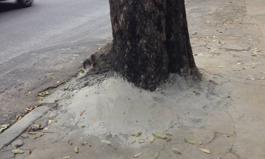 Paranavaí orienta moradores sobre danos de cimentar calçadas em volta das árvores