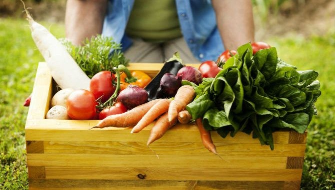 Quer aprender a manejar alimentos? Curso gratuito te ensina