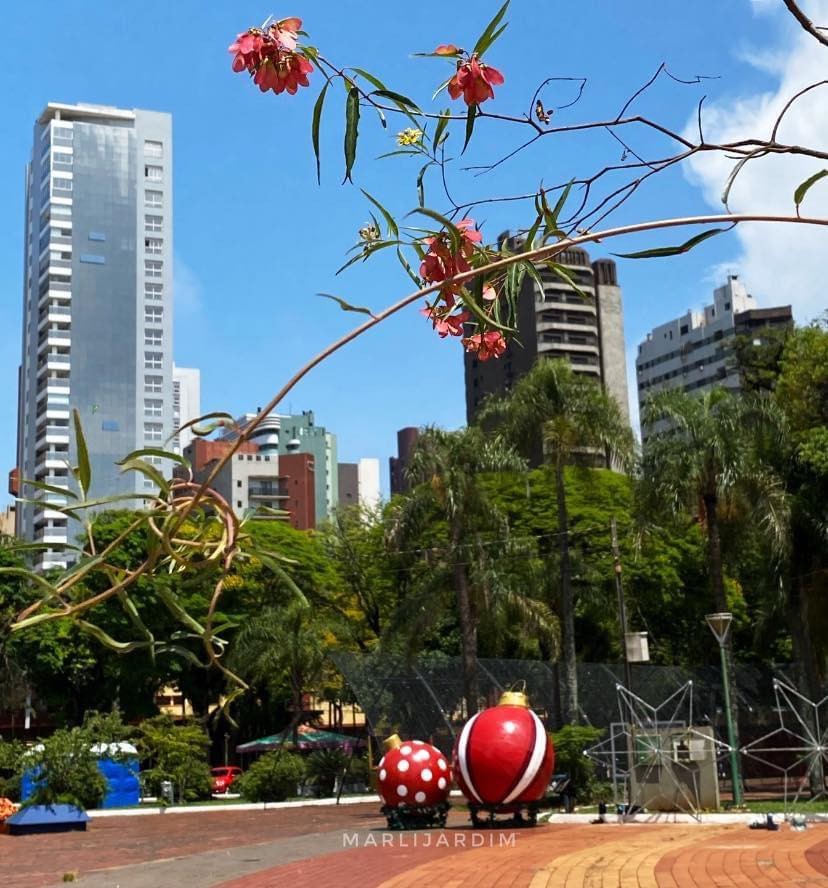 Tempo segue firme em Maringá nesta quinta-feira (22)