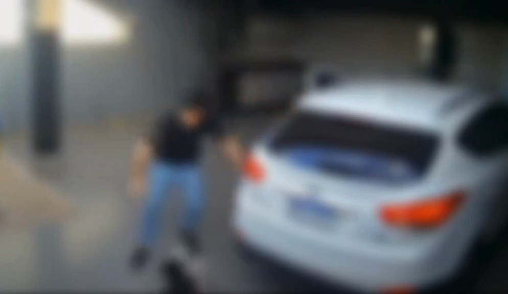 Adestrador explica comportamento de cães em vídeo que viralizou