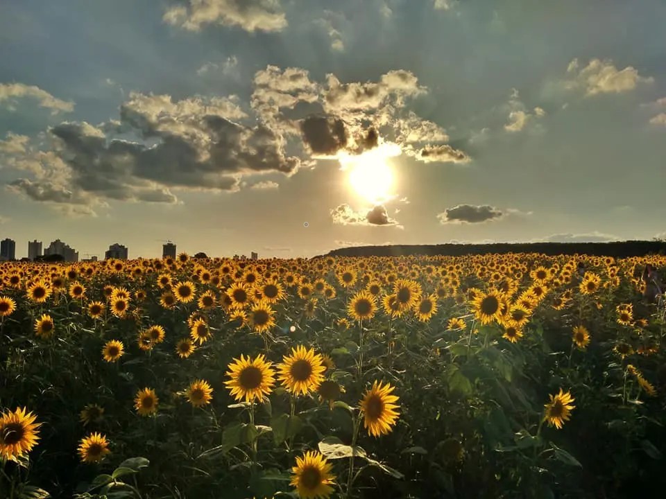Previsão é de tempo firme e quente em Maringá nesta sexta-feira (29)