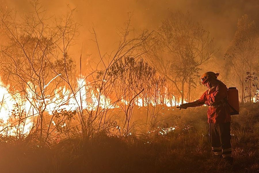 Queima de fios é a principal causa de incêndios ambientais em Maringá