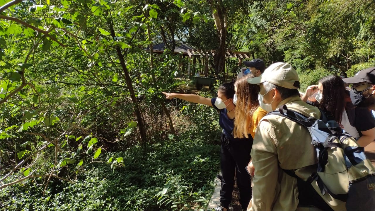 ‘Passaringá’ reúne observadores e entusiastas no Parque do Ingá