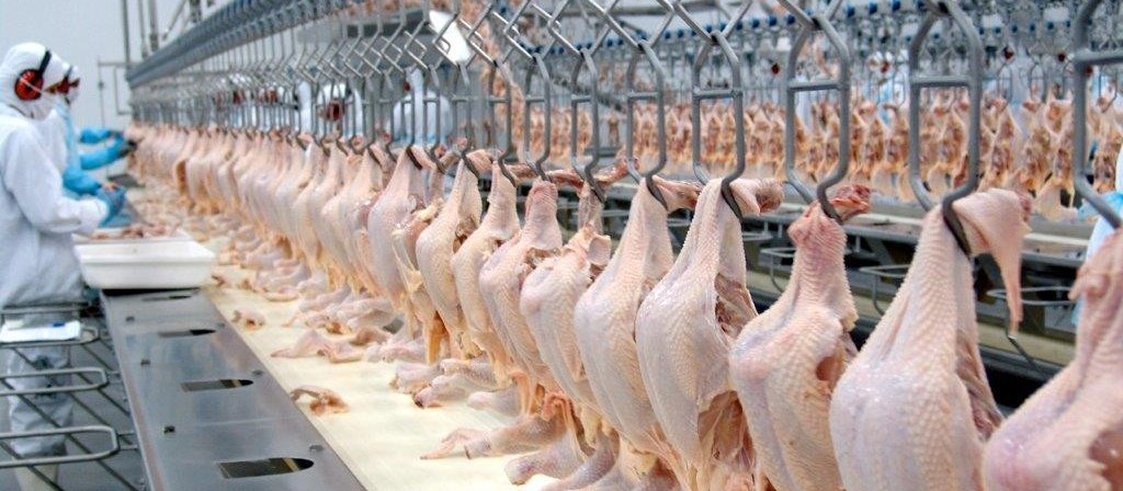 Brasil aumenta em 40% as vendas de carne de frango para o Qatar