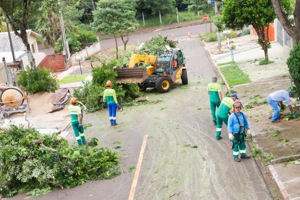 Prefeitura inicia cadastro de empresa para corte de árvores