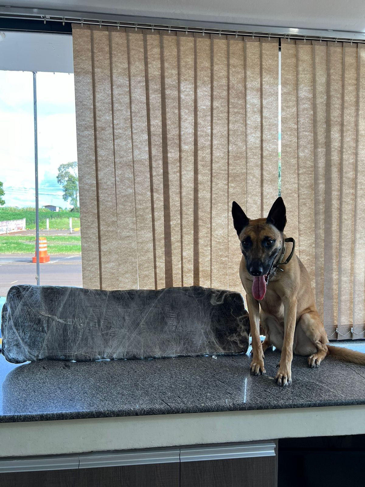 Passageira de ônibus carregava mais de 12 quilos de droga preso ao corpo