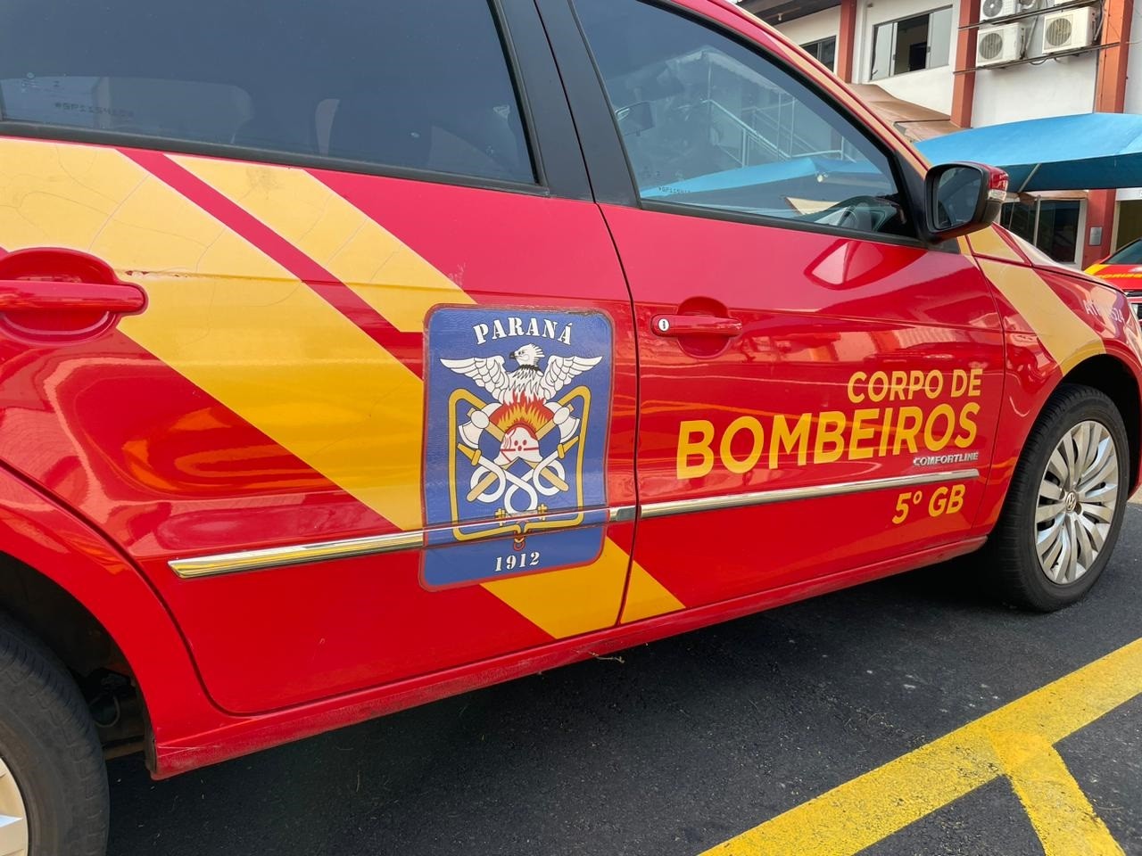 Mulher é vítima de ataque de abelhas em Sarandi