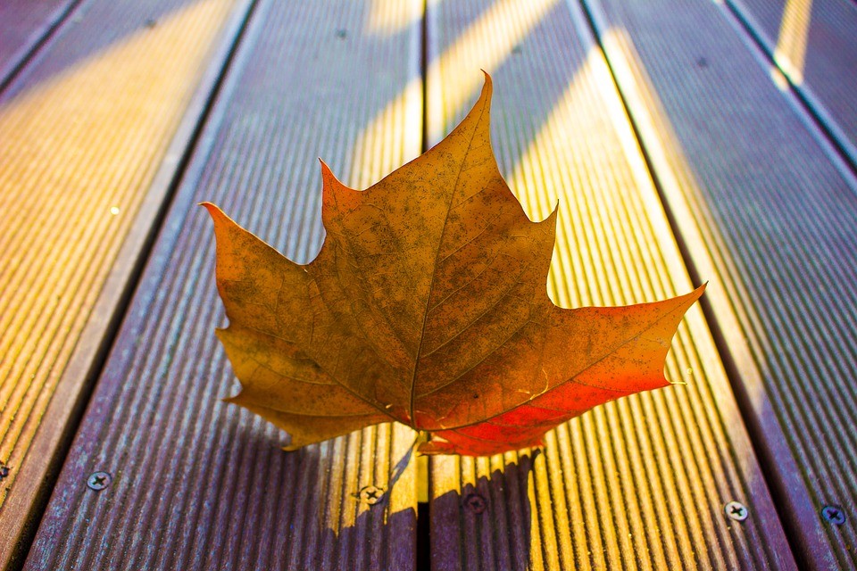 Nova estação começa na tarde desta terça-feira (20)