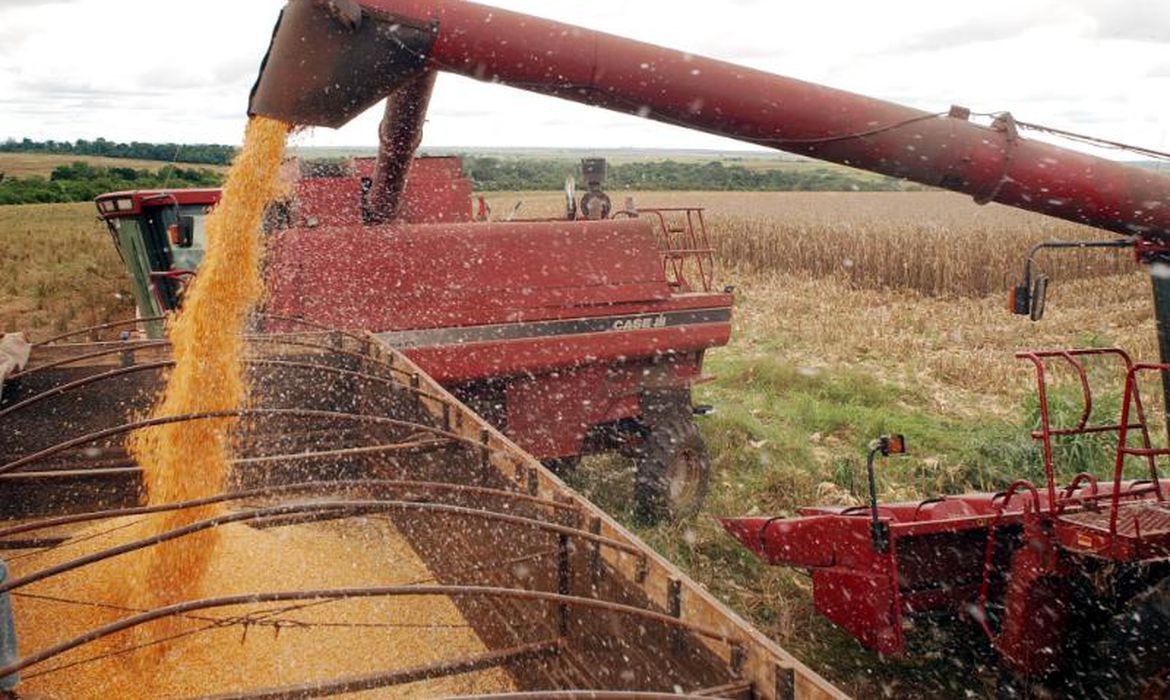 Guerra da Ucrânia eleva preços dos grãos no mercado internacional