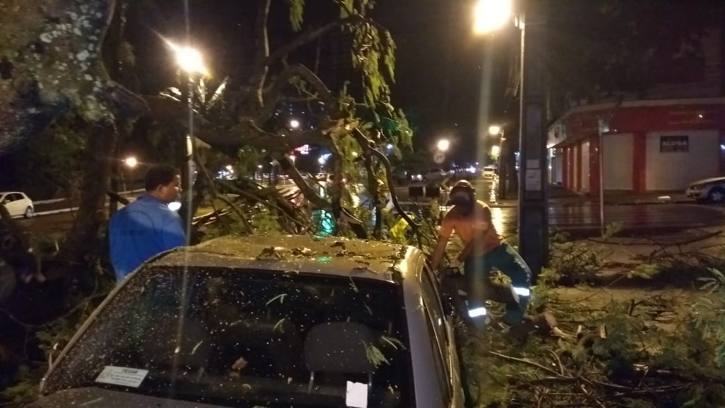Chuva derruba duas árvores em Maringá e alaga vários pontos