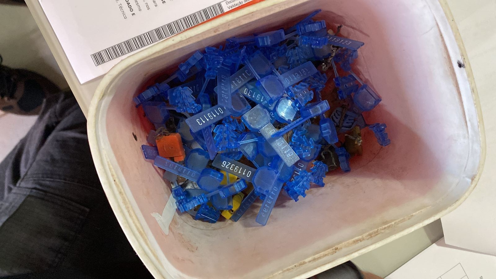 Polícia Federal de Maringá cumpre 23 mandados judiciais contra organização criminosa