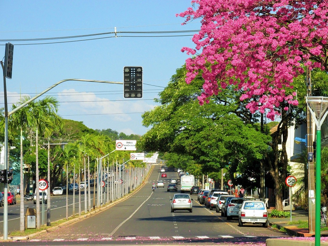 Inadimplência do IPVA 2024 em Maringá é de 25%