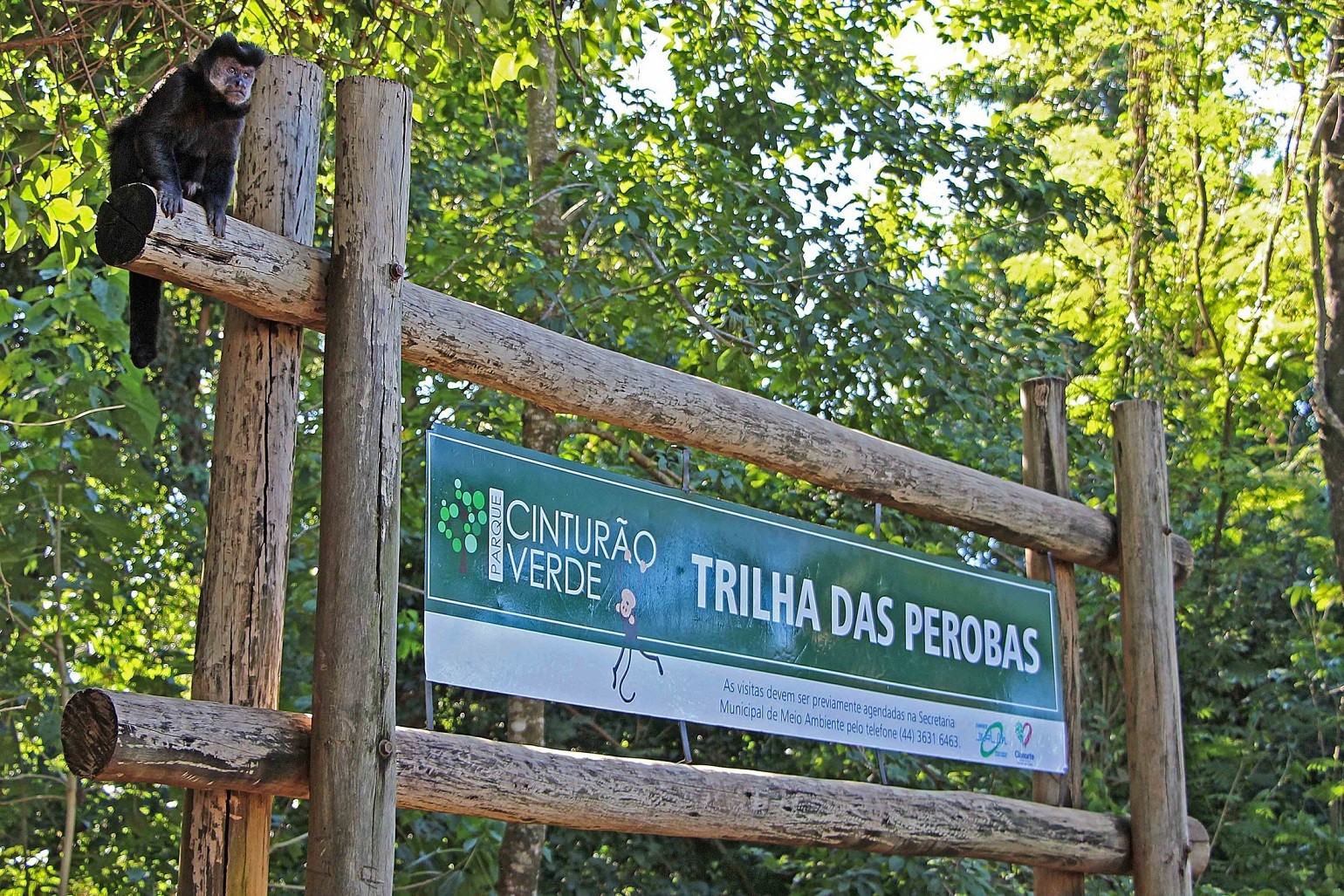 Ministério Público aciona Prefeitura de Cianorte para proteger Cinturão Verde