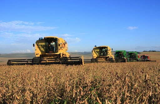 AgRural: colheita de soja atinge 31% da área no Brasil