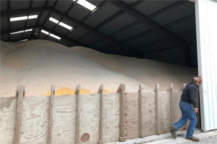 Soja começa a apodrecer nos EUA