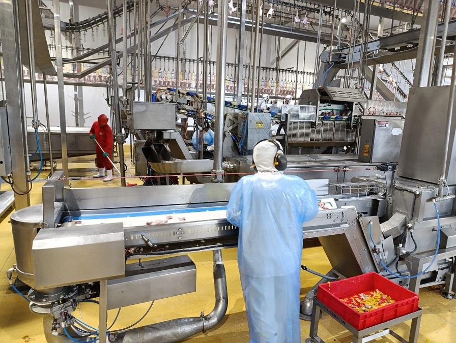 Operação Risco Oculto fiscaliza frigorífico no norte do Paraná