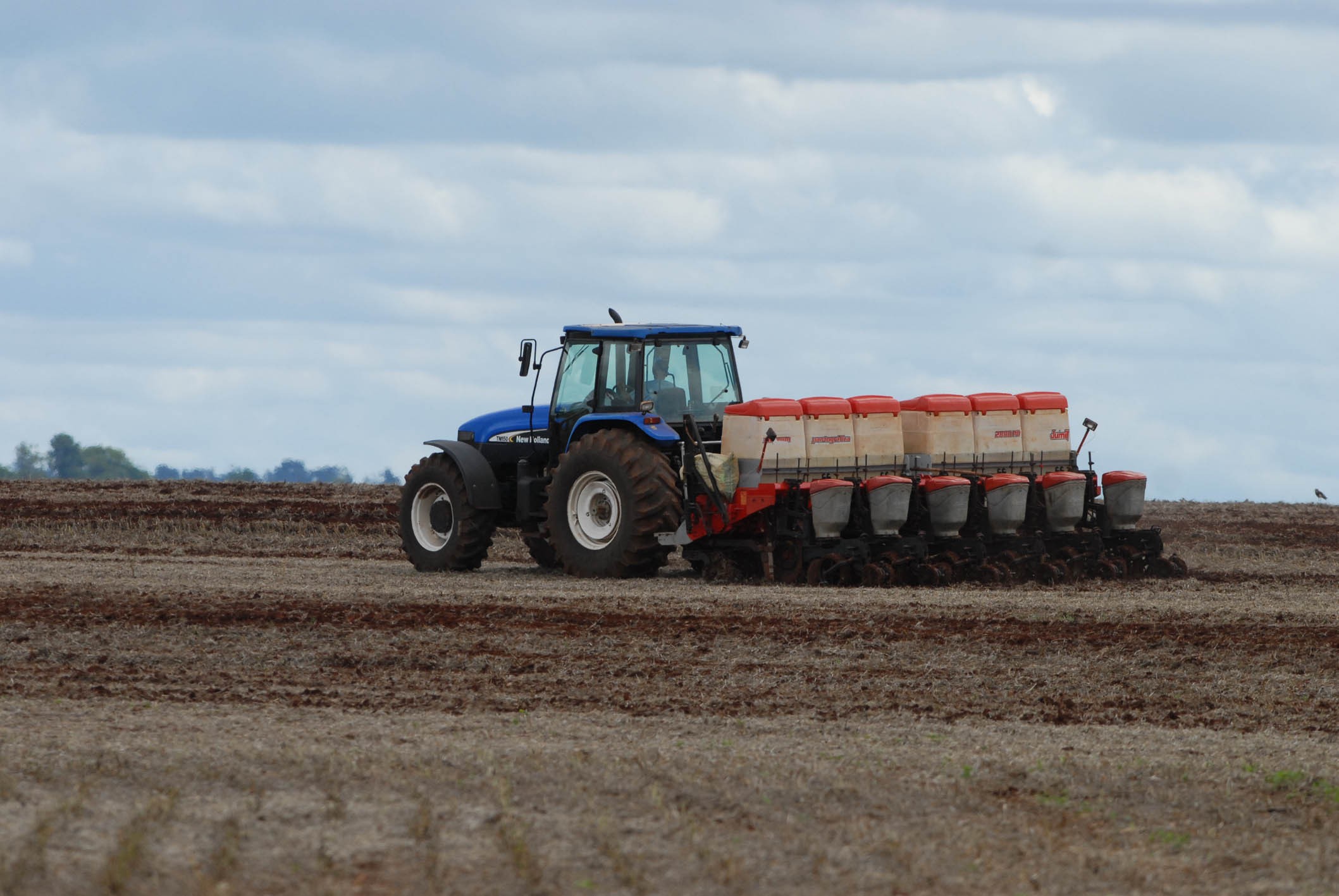 Paraná dá início ao plantio do milho safrinha