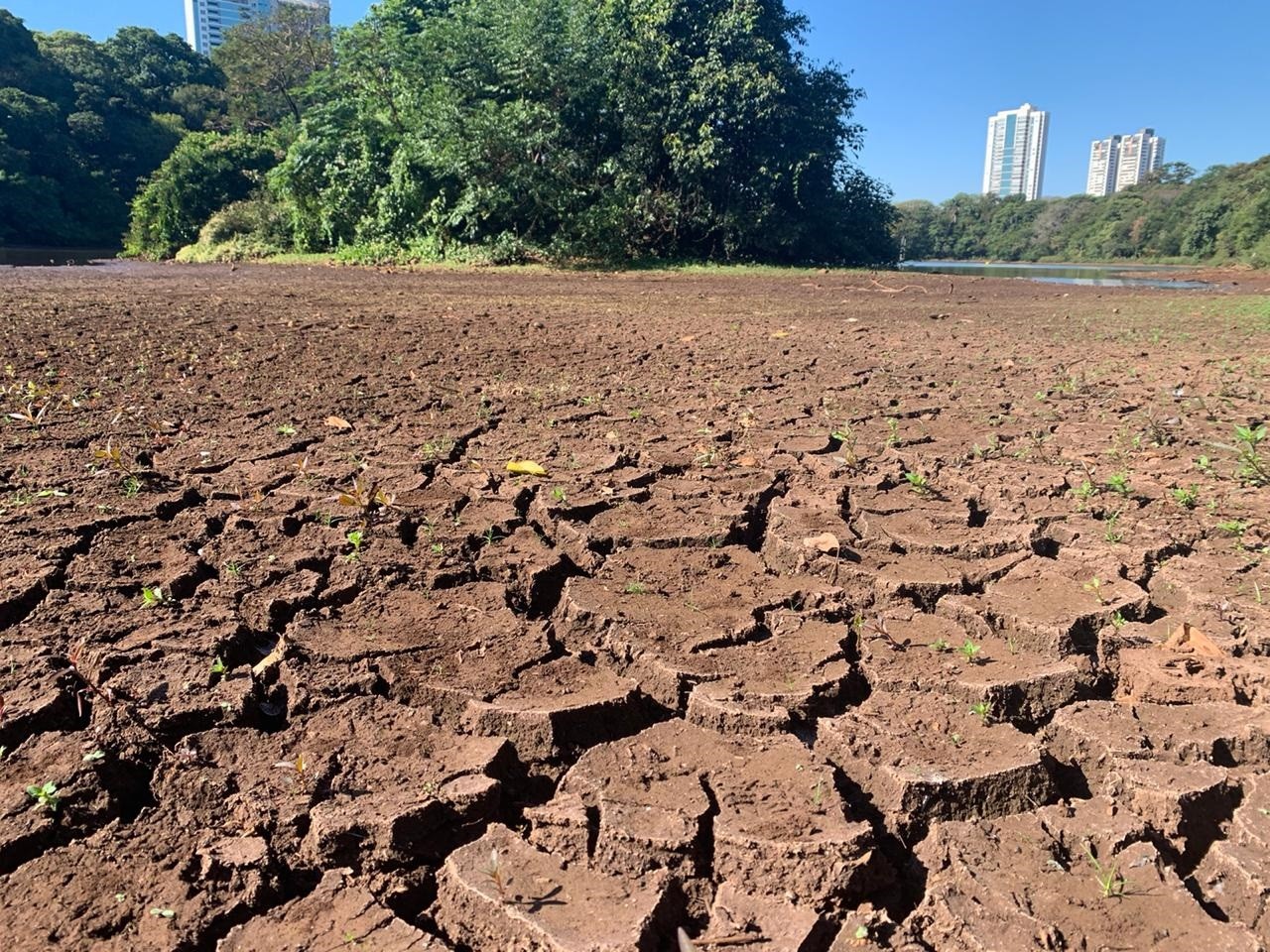 Vídeo: Seca permite atravessar lago do Parque do Ingá a pé