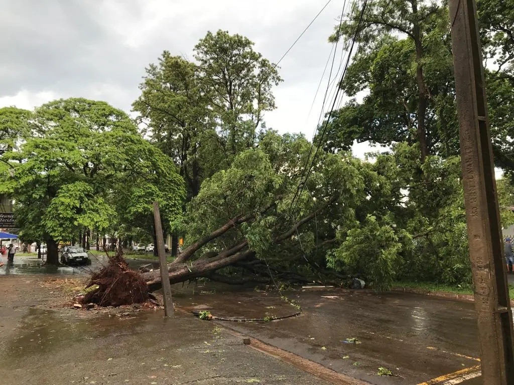 Copel atualiza número de domicílios sem energia em Maringá