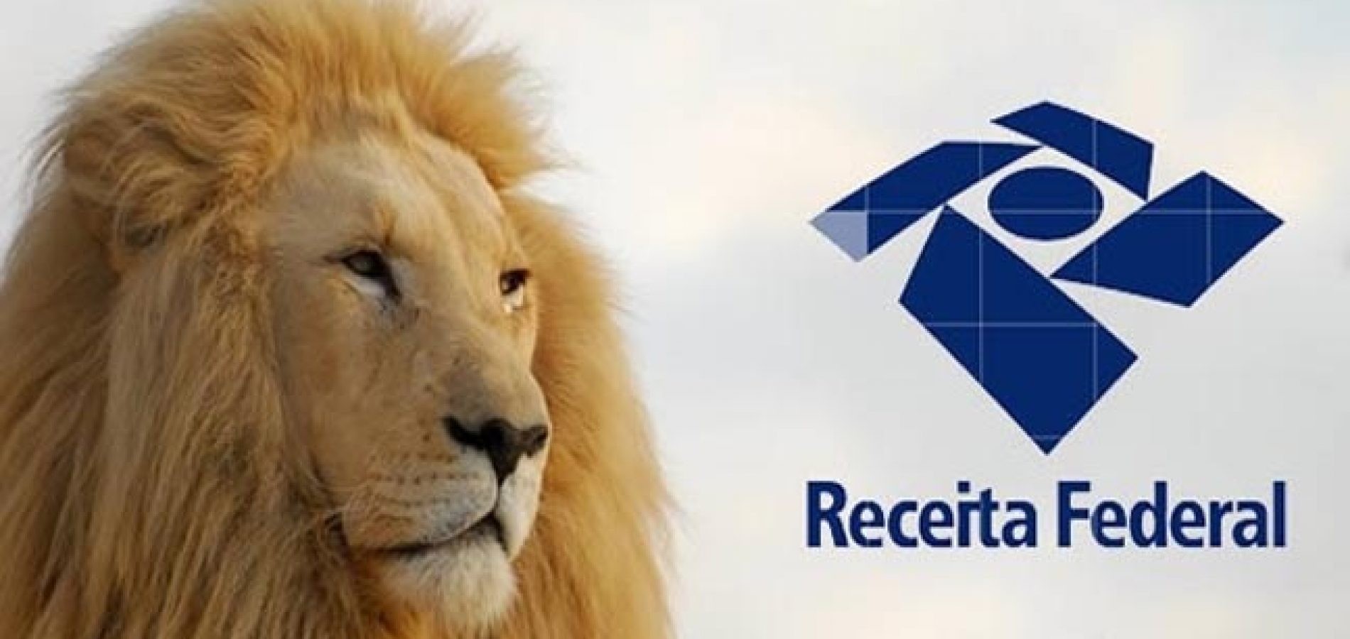 Obrigatoriedade do livro caixa digital do produtor rural para IR de 2020