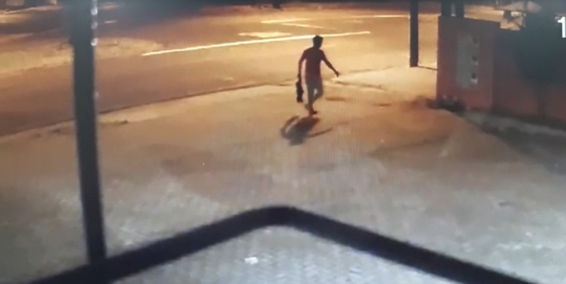 Justiça manda prender homem que invadiu casa e matou cachorro em Maringá