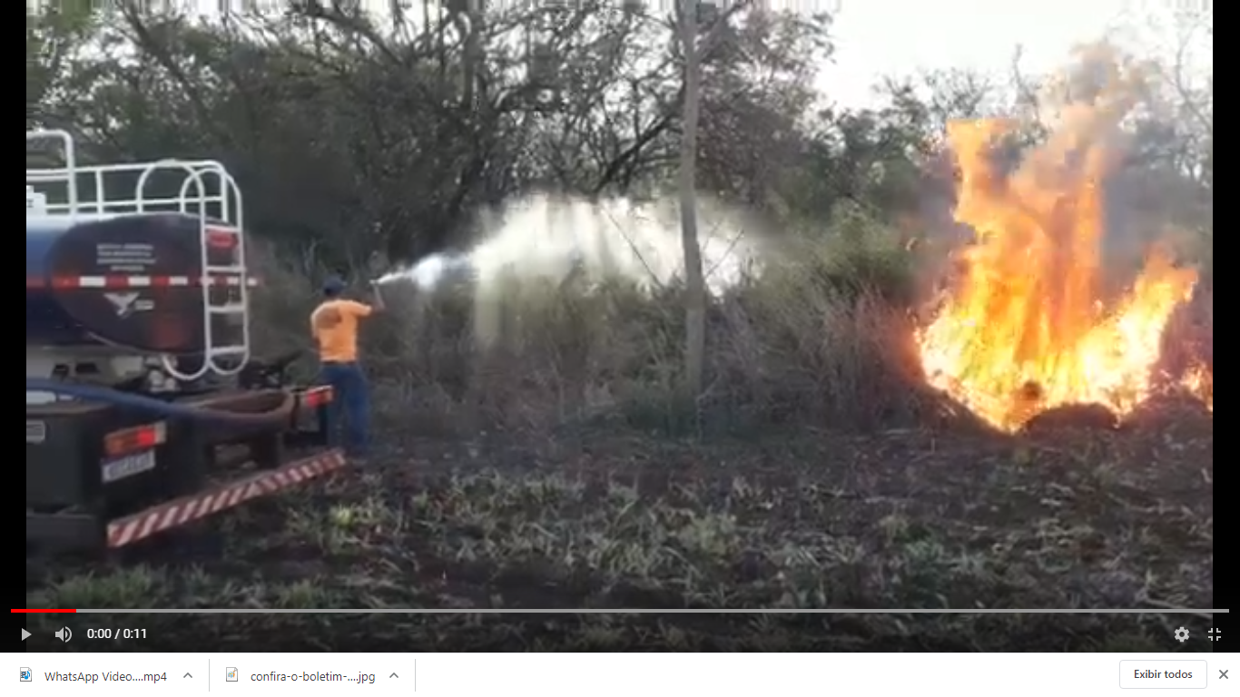 Vídeo: bombeiros combatem incêndio ambiental em Maringá