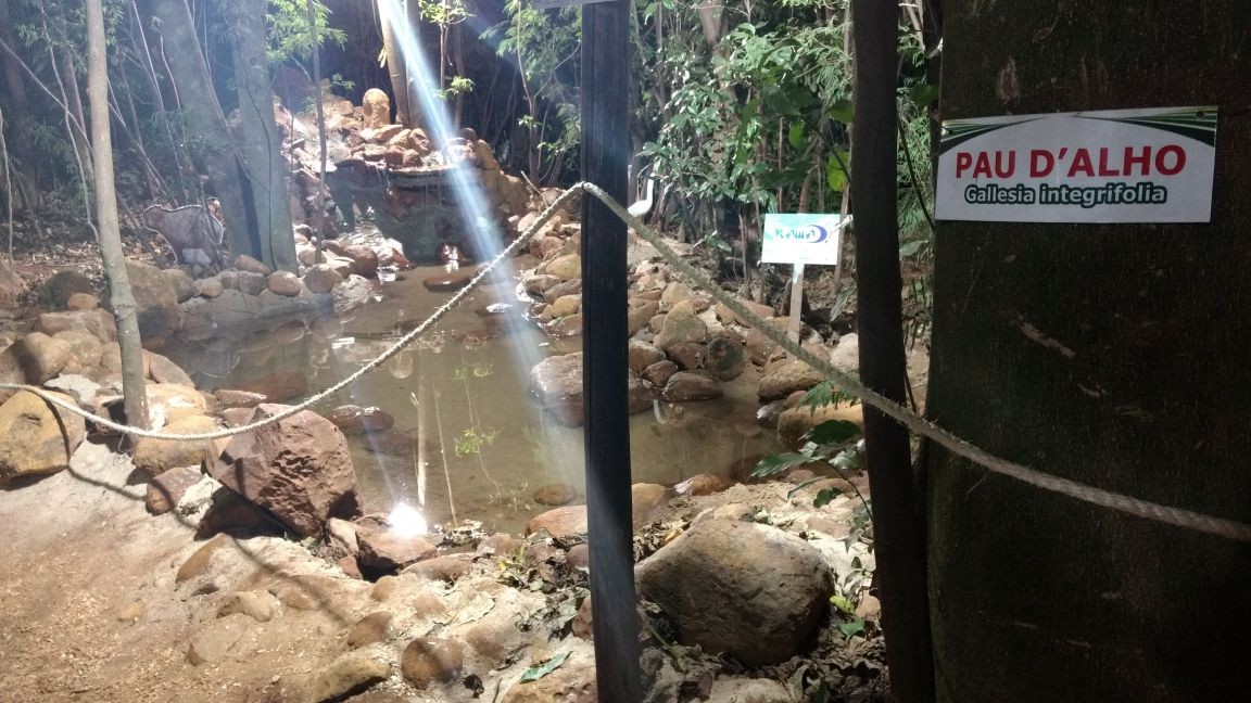Na Fazendinha na Expoingá, “Caminho das Sensações” atrai visitantes