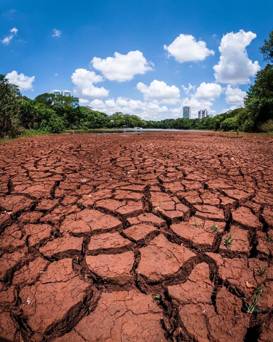 Estiagem: Vegetação avança sobre área que era do lago do Parque do Ingá